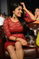 Ulavacharu Biryani Audio Launch